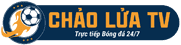 dữ liệu bóng đá số